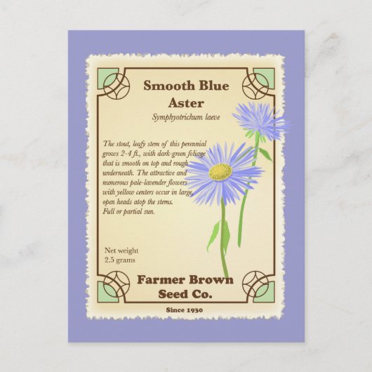 Blue Aster Seed Packet Briefkaart (Voorkant)