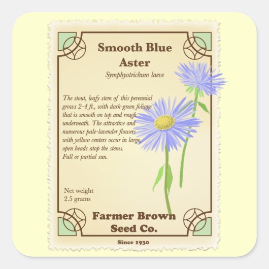 Blue Aster Seed Packet Vierkante Sticker (Voorkant)