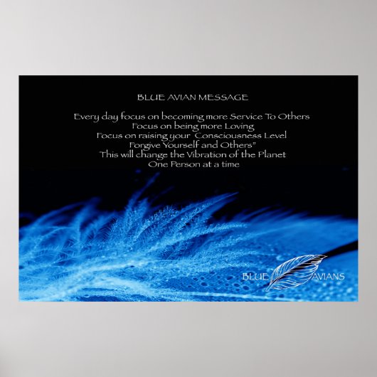 Blue Avian Poster (Voorkant)