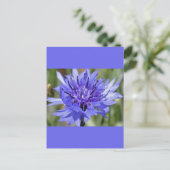 Blue Bachelor Button Flower Briefkaart (Staand voorkant)