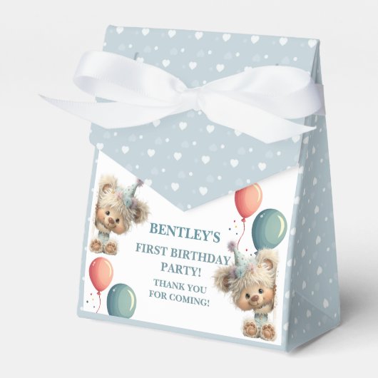 Blue Balloon Hedgehogs Celebration Bedankdoosjes (Voorkant Zijde)