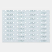 Blue Balloon Hedgehogs Celebration Inpakpapier Vel (Voorkant 3)