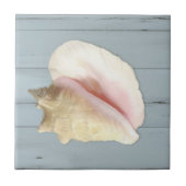 Blue Beach Conch Seashell Coastal Shell Wood Tegeltje (Voorkant)