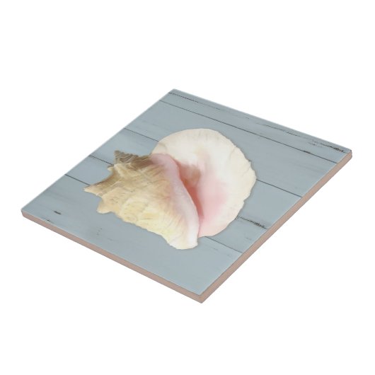 Blue Beach Conch Seashell Coastal Shell Wood Tegeltje (Zijkant)