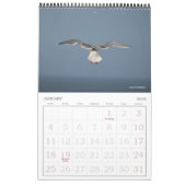 Blue Beach Song™ fotografie Kalender (Jan 2026)