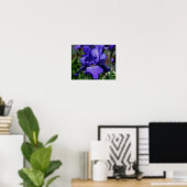 Blue Bearded Iris Flower Poster (Thuiskantoor)