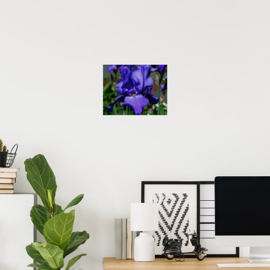 Blue Bearded Iris Flower Poster (Thuiskantoor)