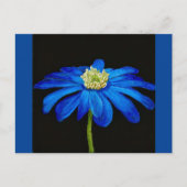 Blue Beauty briefkaart (Voorkant)