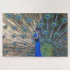 Blue Beauty Peacock Legpuzzel