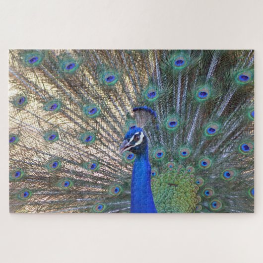 Blue Beauty Peacock Legpuzzel (Horizontaal)