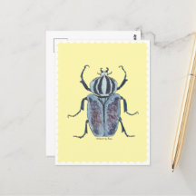 Blue Beetle Aquarel