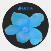 Blue Begonia Sticker (Voorkant)