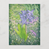 Blue Bell Flower, Spring Natuur / GB Briefkaart (Voorkant)