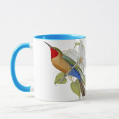 Blue Bellied Bee Eater and Empress of India Mok (Links)