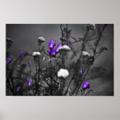 Blue Bells Mugshot Print (Voorkant)