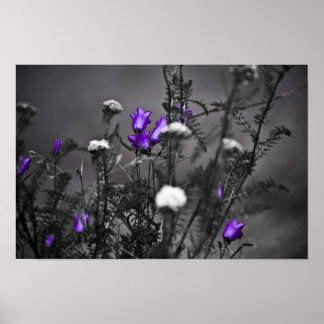 Blue Bells Mugshot Print