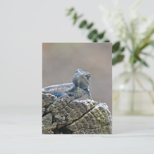 Blue Belly Alligator Lizard Briefkaart (Staand voorkant)