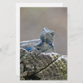 Blue Belly Alligator Lizard Briefpapier (Voorkant / Achterkant)