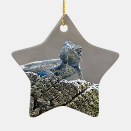 Blue Belly Alligator Lizard Keramisch Ornament (Voorkant)