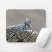 Blue Belly Alligator Lizard Muismat (Met muis)