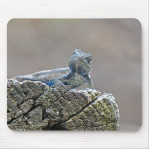 Blue Belly Alligator Lizard Muismat