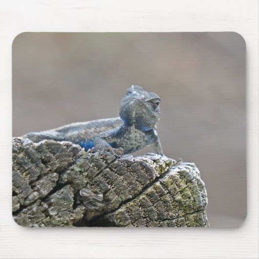 Blue Belly Alligator Lizard Muismat (Voorkant)