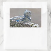Blue Belly Alligator Lizard Rechthoekige Sticker (Tas)