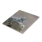 Blue Belly Alligator Lizard Tegeltje (Zijkant)