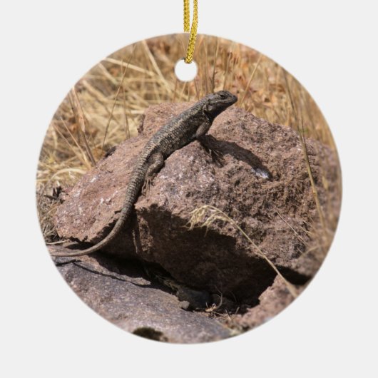Blue Belly Lizard Ornament (Voorkant)