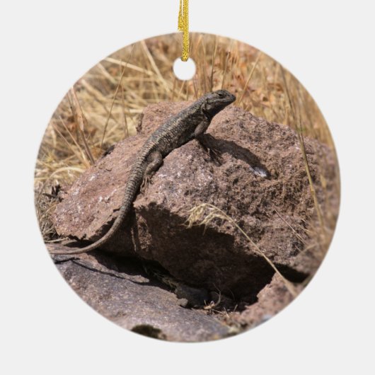 Blue Belly Lizard Ornament (Achterkant)