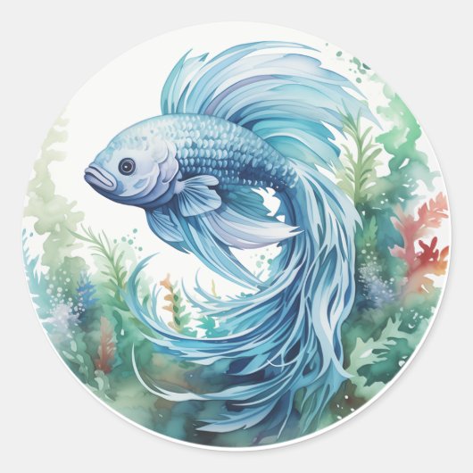 Blue Beta Fish Green Seaweed Ronde Sticker (Voorkant)