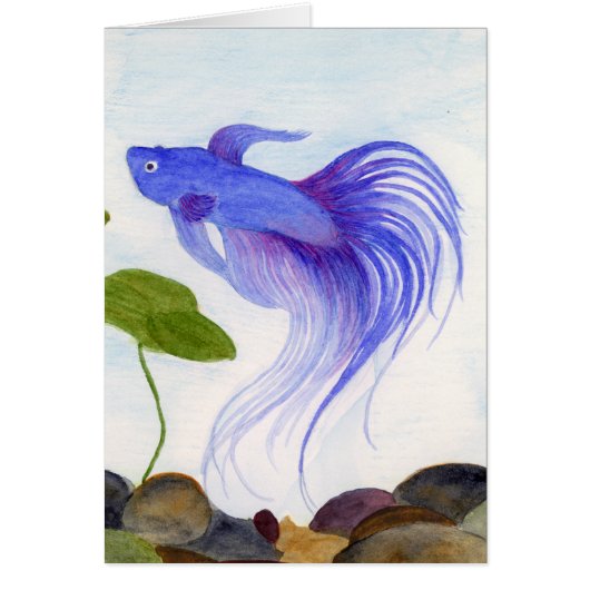 Blue Betta Fish (Voorkant)