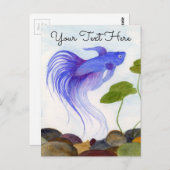 Blue Betta Fish Briefkaart (Voorkant / Achterkant)