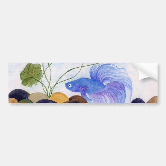 Blue Betta Fish Bumpersticker (Voorkant)