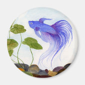 Blue Betta Fish Magneet (Voorkant)