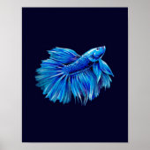 Blue Betta Fish on Navy |Aquarium Lover Poster (Voorkant)