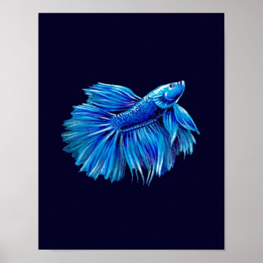 Blue Betta Fish on Navy |Aquarium Lover Poster (Voorkant)