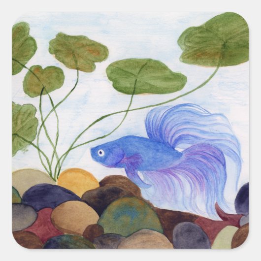 Blue Betta Fish Vierkante Sticker (Voorkant)