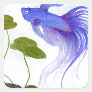 Blue Betta Fish Vierkante Sticker