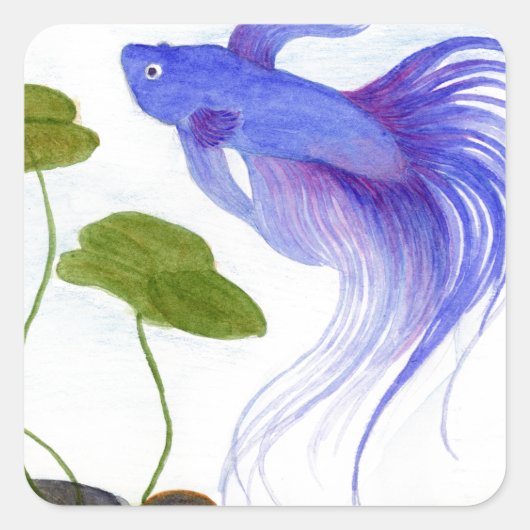 Blue Betta Fish Vierkante Sticker (Voorkant)