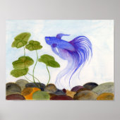 Blue Betta Poster (Voorkant)