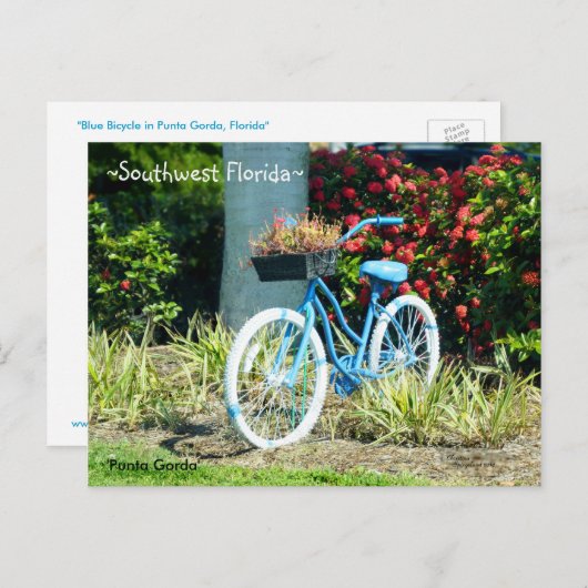 Blue Bicycle Southwest Florida Briefkaart (Voorkant / Achterkant)