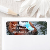 Blue Billed Duck Mailing Label (Insitu)