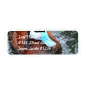 Blue Billed Duck Mailing Label (Voorkant)