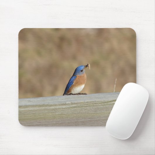 Blue Bird Breakfast Muismat (Met muis)