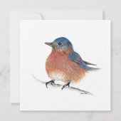 Blue Bird Card Kaart (Voorkant)