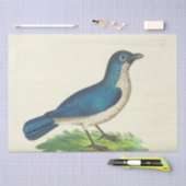  Blue Bird Ephemera Decoupage Tissue Paper Tissuepapier (Craft)