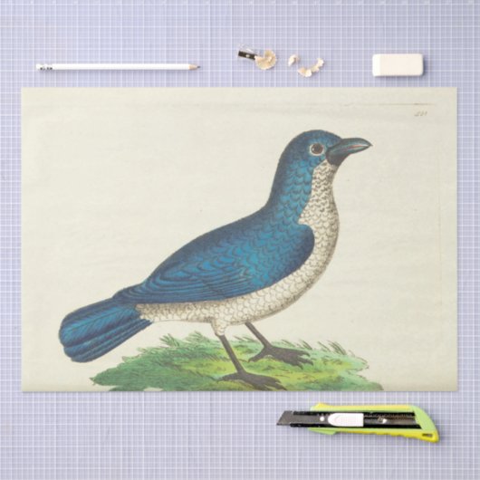  Blue Bird Ephemera Decoupage Tissue Paper Tissuepapier (Craft)