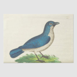Blue Bird Ephemera Decoupage Tissue Paper Tissuepapier
