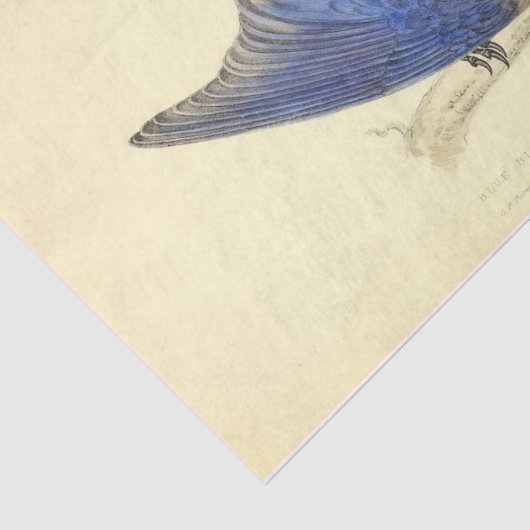 Blue Bird Ephemera Decoupage Tissuepapier (Detail)